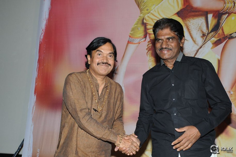 Bengal-Tiger-Movie-Press-Meet